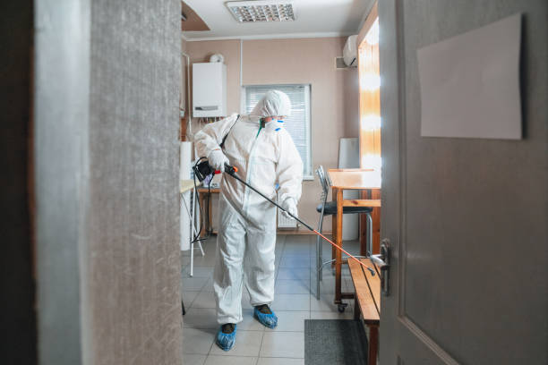 Best Black Mold Removal  in Gaffney, SC