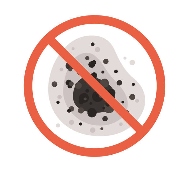 Best Forensic Mold Investigation  in Gaffney, SC