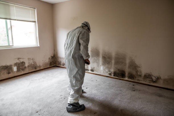 Mold Remediation for Vacation Homes in Gaffney, SC