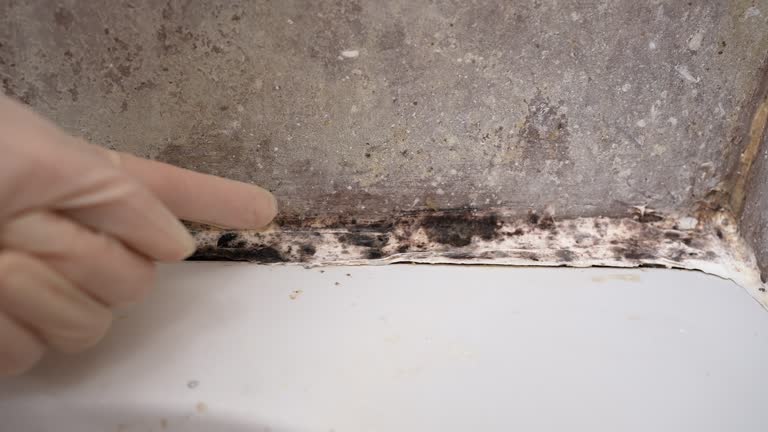 Best Residential Mold Inspection & Testing  in Gaffney, SC